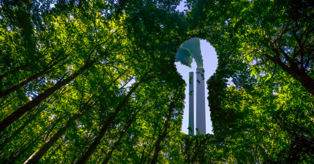 greenwashing
