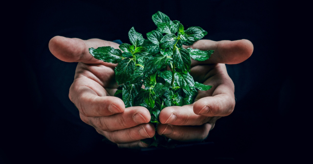 Как афилиейтите печелят от ESG продукти